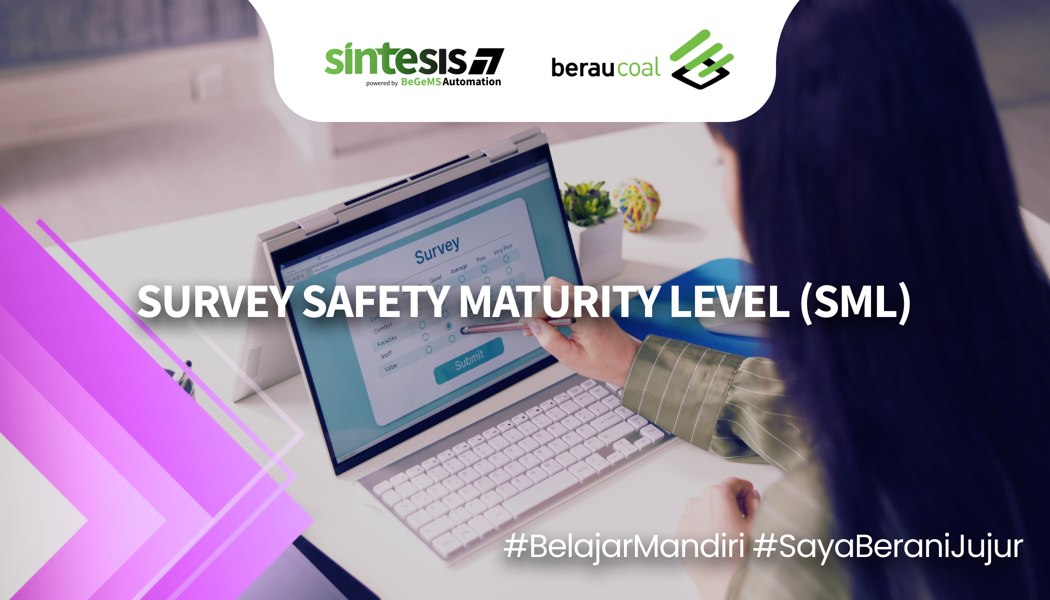 Survey Safety Maturity Level (SML)